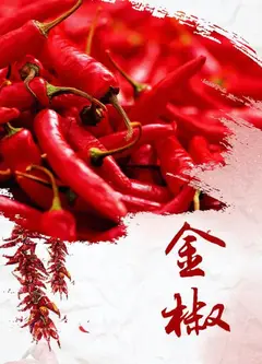 金椒