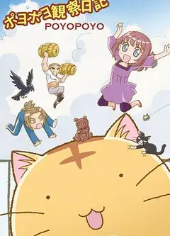 嘟嘟猫观察日记