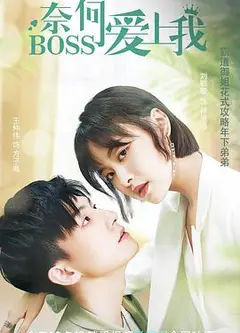 奈何BOSS爱上我