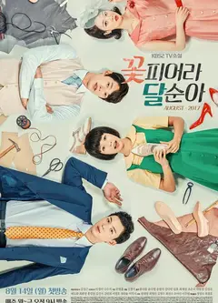 花开了，达顺啊