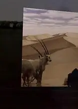何处是巧克力山
