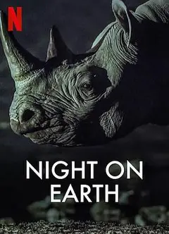 地球的夜晚