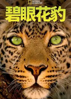碧眼花豹
