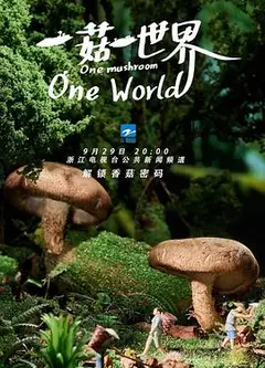 一菇一世界
