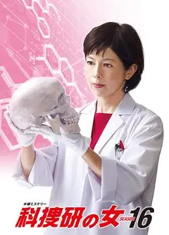 科搜研之女第16季
