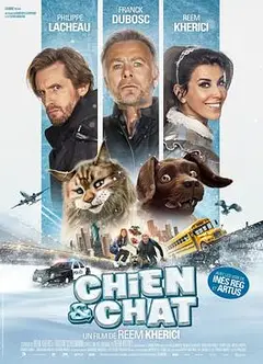 猫狗大乱斗
