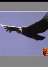 中国十大王朝