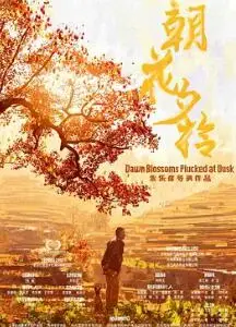 朝花夕拾2024