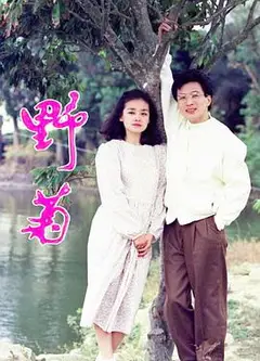 野菊