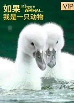 如果我是一只动物
