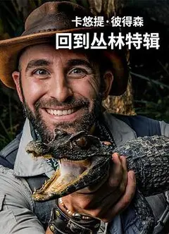 卡悠提·彼得森：回到丛林特辑