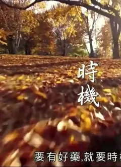 神奇百草游粤语