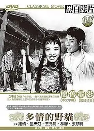 多情的野猫