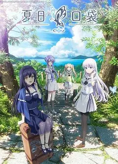 夏日口袋