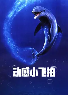 动感小飞拍