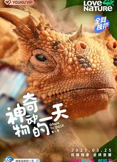 神奇动物的一天 第一季