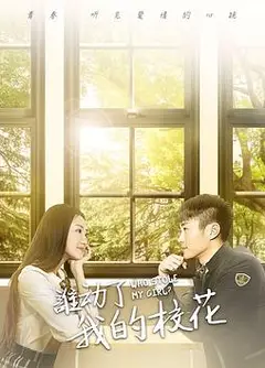 谁动了我的校花