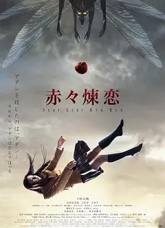赤赤炼恋