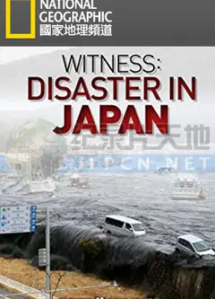 直击311日本大浩劫