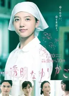 透明的摇篮