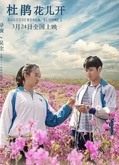 杜鹃花儿开