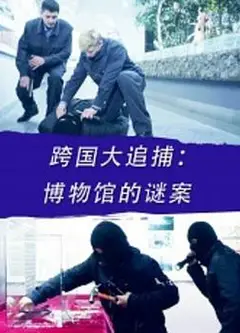 跨国大追捕：博物馆的谜案