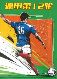 德甲第12轮-云达不莱梅vs柏林赫塔