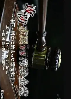 中国环境诉讼攻防