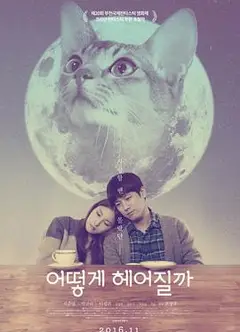 如何与我的猫分手
