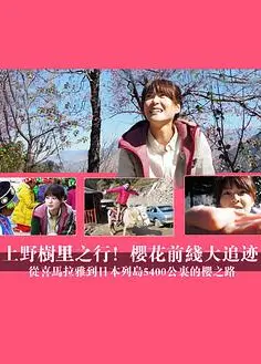 上野树里之行！樱花前线大追迹～从喜马拉雅到日本列岛5400公里的樱之路~
