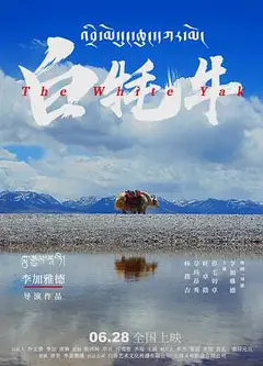 白牦牛（藏语）