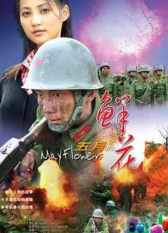 五月的鲜花