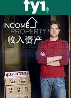 收入资产