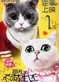 猫片之无喵生还