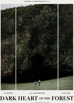 森林的黑暗心脏