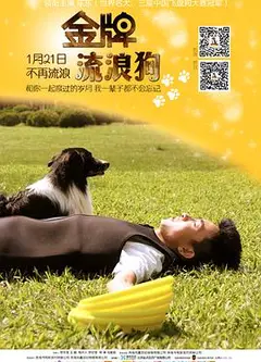 金牌流浪狗