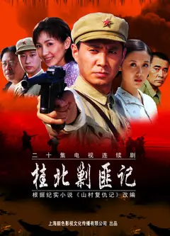 桂北剿匪记