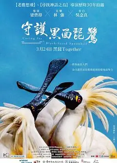 守护黑面琵鹭