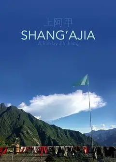 上阿甲