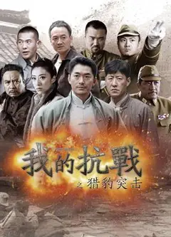我的抗战之猎豹突击