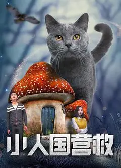 小人国营救