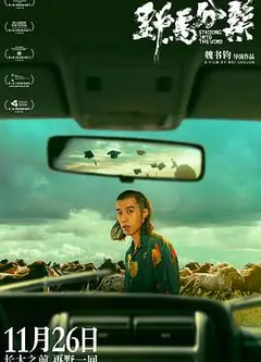 野马分鬃