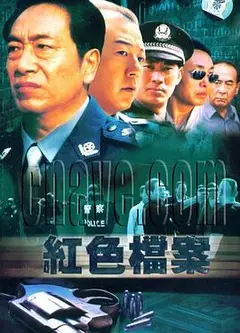 8.13重案组