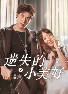遗失的小美好之谎言