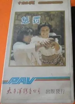 惩罚1980