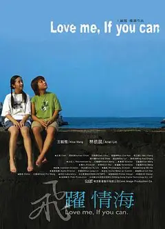 飞跃情海2004