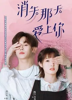 消失那天爱上你