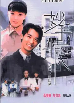 妙手情天韩语