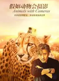 假如动物会摄影
