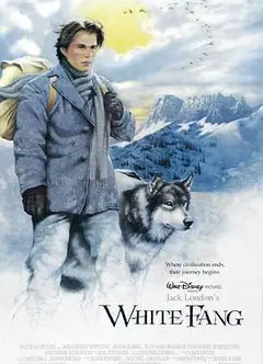 雪地黄金犬